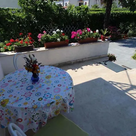 In - Insel Krk 14419 Vantačići